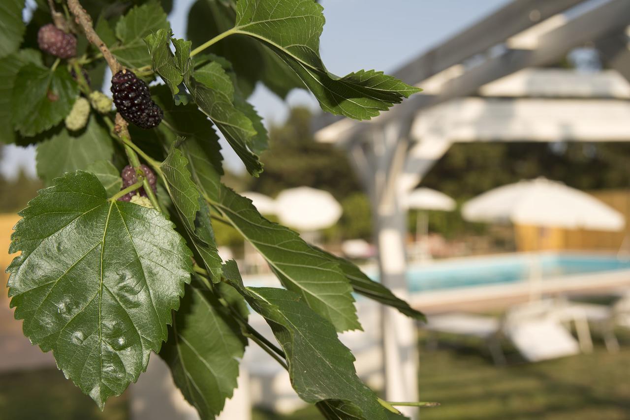 Villa Sicily Country House & Beach à Catane Extérieur photo